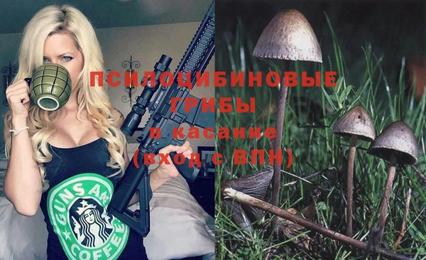 крисы Нефтегорск