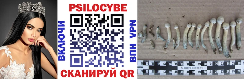 купить закладку  Плёс  Галлюциногенные грибы мицелий 