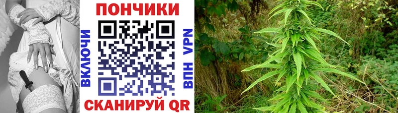 купить  сайты  Плёс  Каннабис конопля 